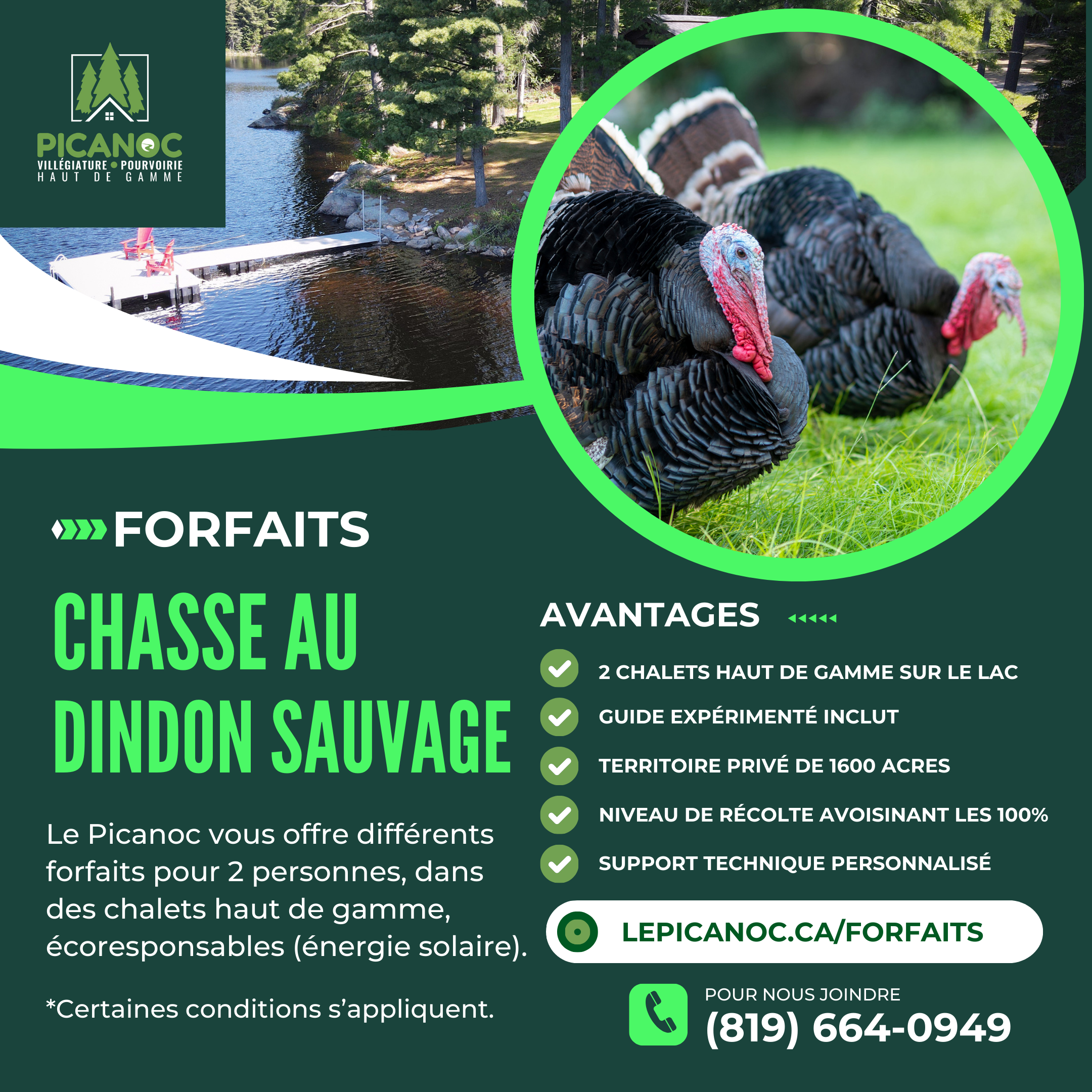 FORFAIT CHASSE dindons